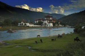 Bhutan00