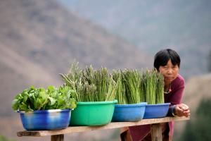 Vegetable-stall